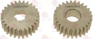 Pair Gears Stainless Steel