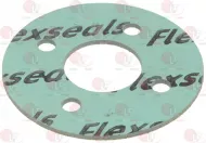 Gasket Flange