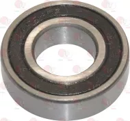 Bearing 6004 Rs