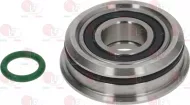 Bearing S6003 Rs