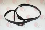 Belt Pv2489J8