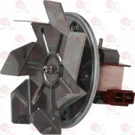 Motor Fan With Fan