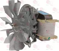 Motor With Fan