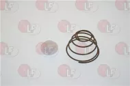 Gasket Kit For Motor Cs (Seal+Spring)