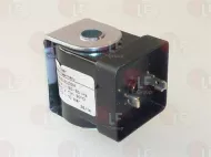 Bobina Muller 24V 50/60Hz
