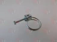 Hose Clamp With Screw