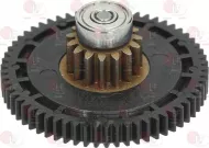 Gear Wheel Group With Bearings