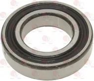  6006-2Rs1 Skf