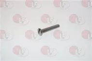 Vite Tsc M5X30 C/intaglio