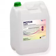 MOTOR CLEAN         10 