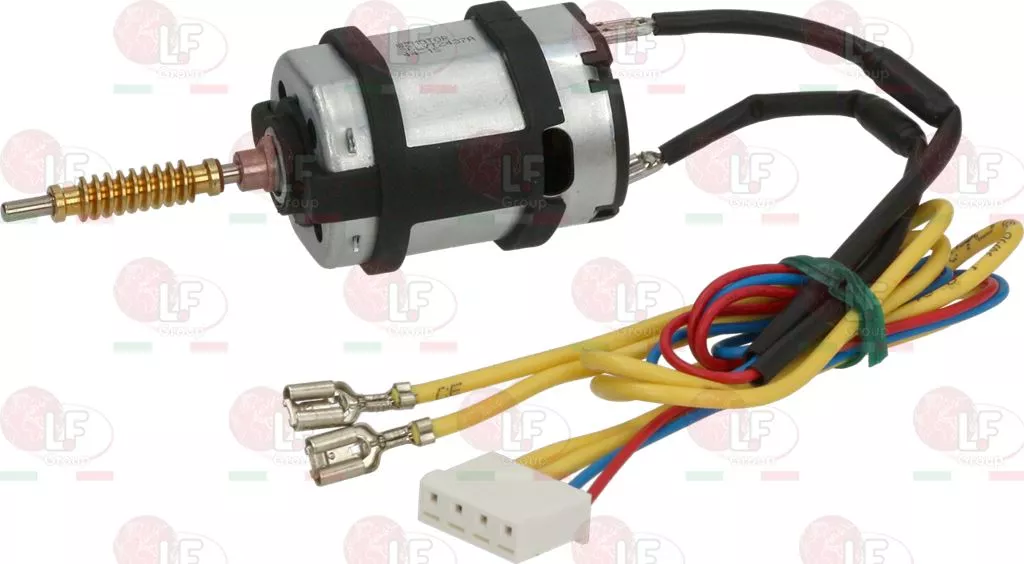 Gearmotor For Delivery Group