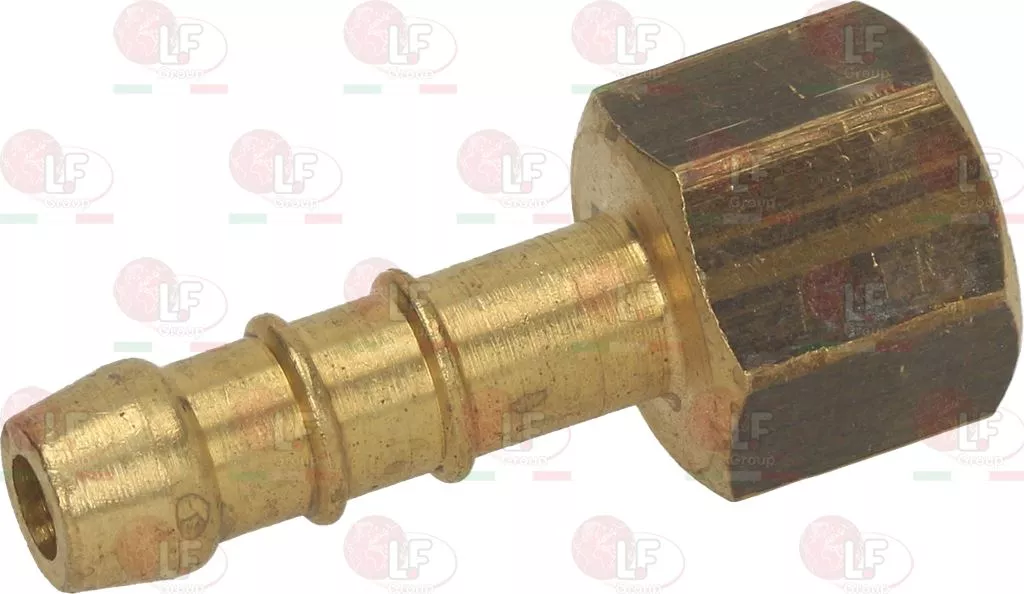 Hose-End Fitting 1/4  F Lpg