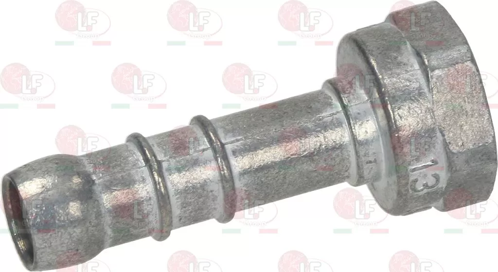 Hose-End Fitting Straight 1/2  F Nat.gas