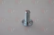 Vite Zincata M8