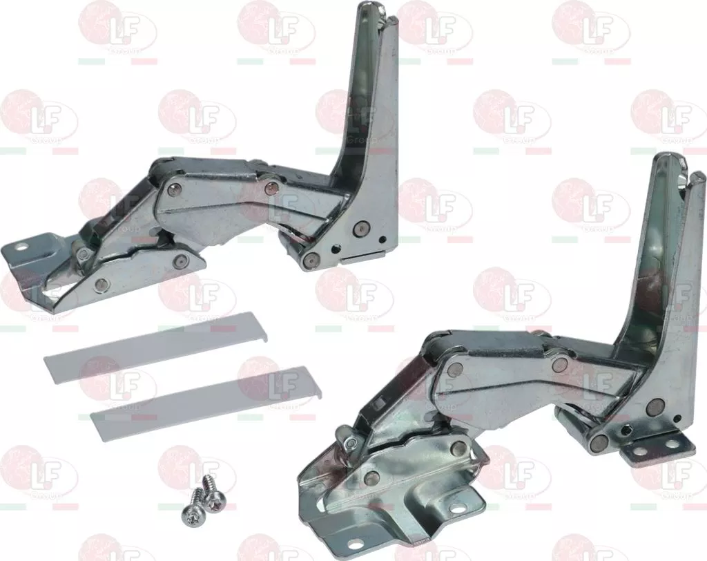 Hinge Bosch 2 Pcs Kit