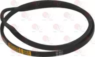 Belt  3L501