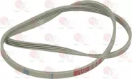 Belt 1034 J4 El Polyurethane