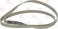 Belt 1115 H7 El Polyurethane