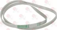 Belt 1161 J5 El Polyurethane