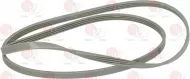 Belt 1221 J4 El Polyurethane