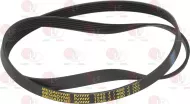 Belt 1245 J6