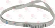 Belt 1287 H8 El Polyurethane
