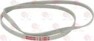 Belt 1308 J5 El Polyurethane