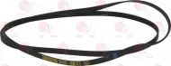 Belt 1830 H7