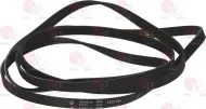 Belt 1915 H6