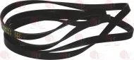 Belt 1932 H7
