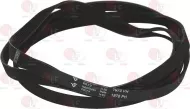 Belt 1970 H7