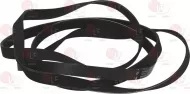 Belt 1985 H8