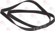Belt Hutchinson 1155 H8 El