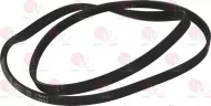 Belt Hutchinson 1184 J5