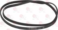 Belt Hutchinson 1254 J5