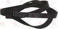 Belt Hutchinson 1309 J6