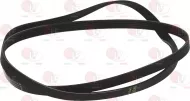 Belt Hutchinson 1317 J5