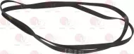Belt Hutchinson 1965 H8