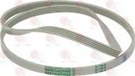 Belt Megadyne 1194 J5 El Poly