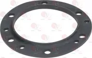 Gasket For Flange Fagor 220088002