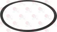 Gasket For Tray Candy 49017708