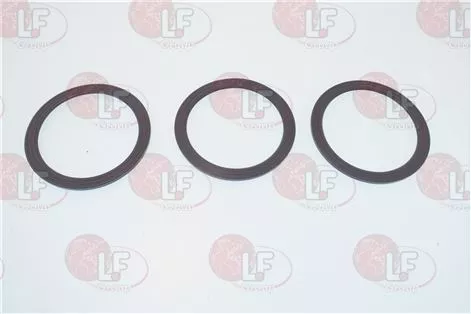 Sealing Ring Grey 3Pk Blx5 Series   