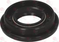 Sealing Ring 25X47/54X12.5