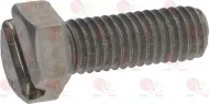 Screw M5X14 Shower Group