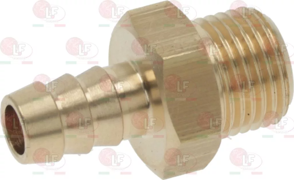Hose End Fitting 1/8 m - 6.5 Mm