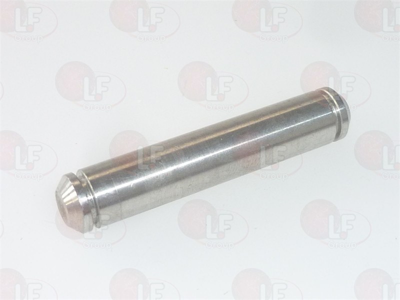 Perno Inox 10X55 Mm Con Sedi Seeger