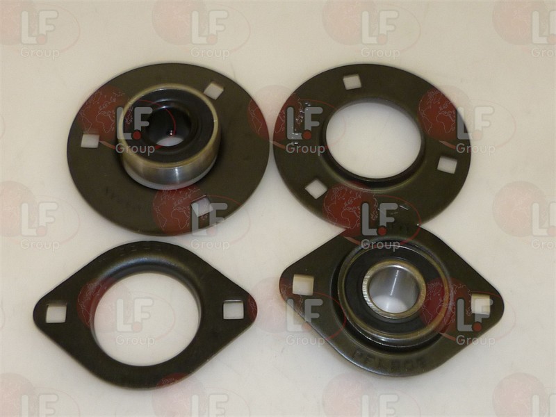 Coppia Cuscinetti Oscillanti Ocea