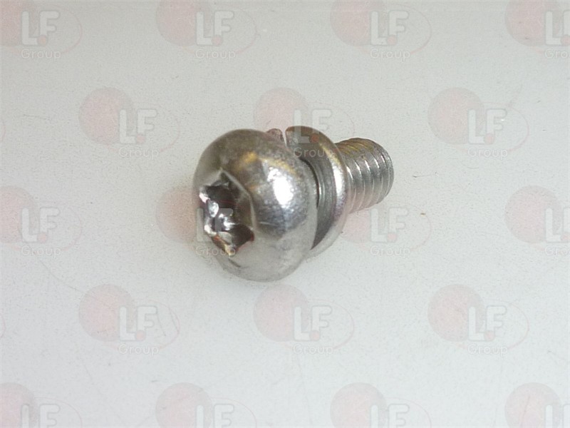 Vite Inox M4X8 Mm Con Rondella