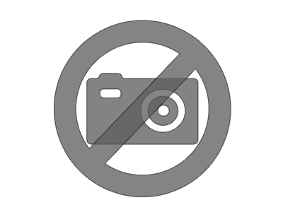 Vetro Interno Porta Forno