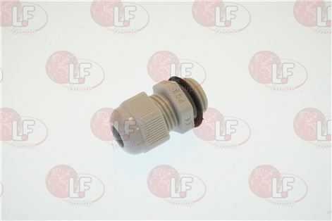 Cable Gland With Pg21 Nut